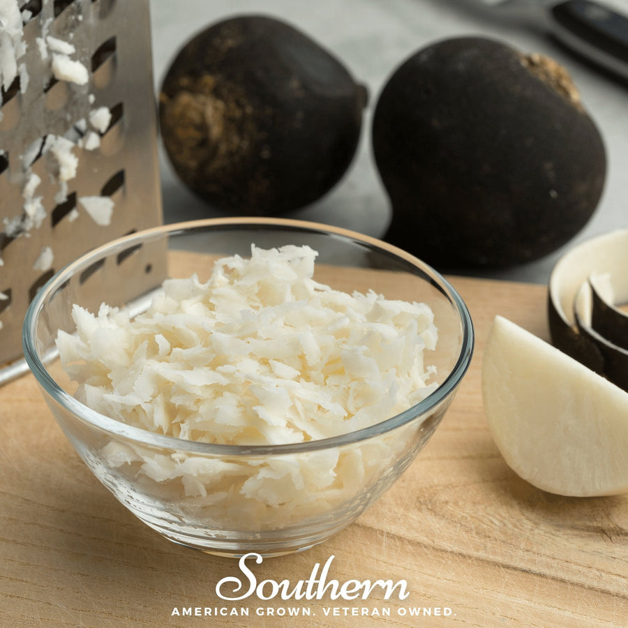 Black Spanish Radish