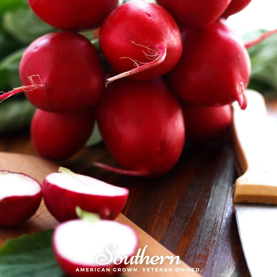 Crimson Giant Radish