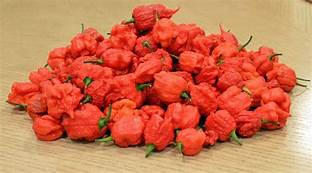 Red chili peppers illustrating the Garlic Reaper flavor