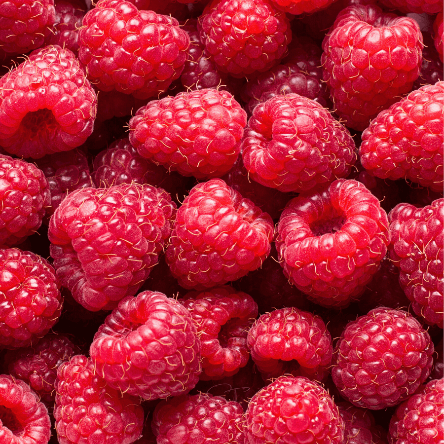 Red European Raspberry – 30 Seeds