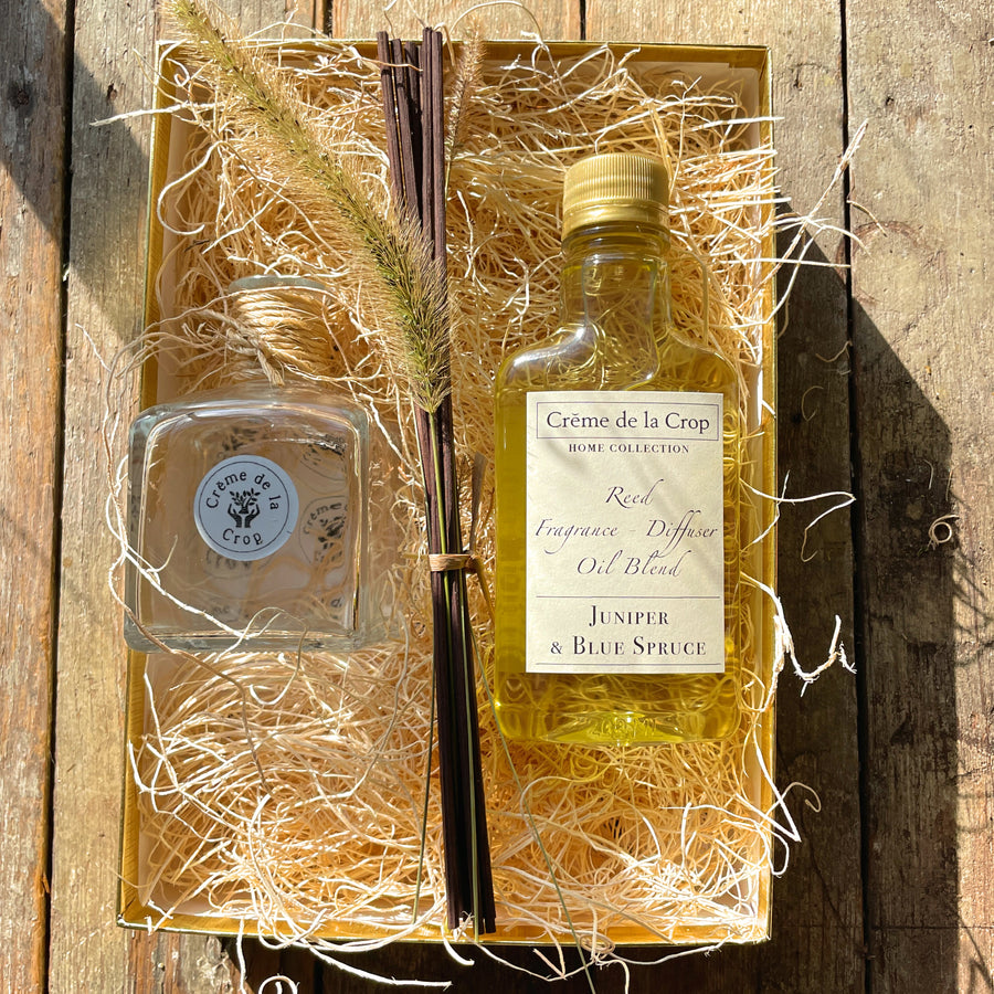 Reed Fragrance - Diffuser, Starter Kit - Juniper & Blue Spruce
