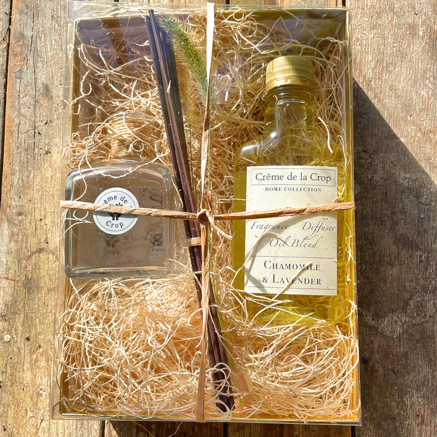 Reed Fragrance - Diffuser, Starter Kit - Juniper & Blue Spruce