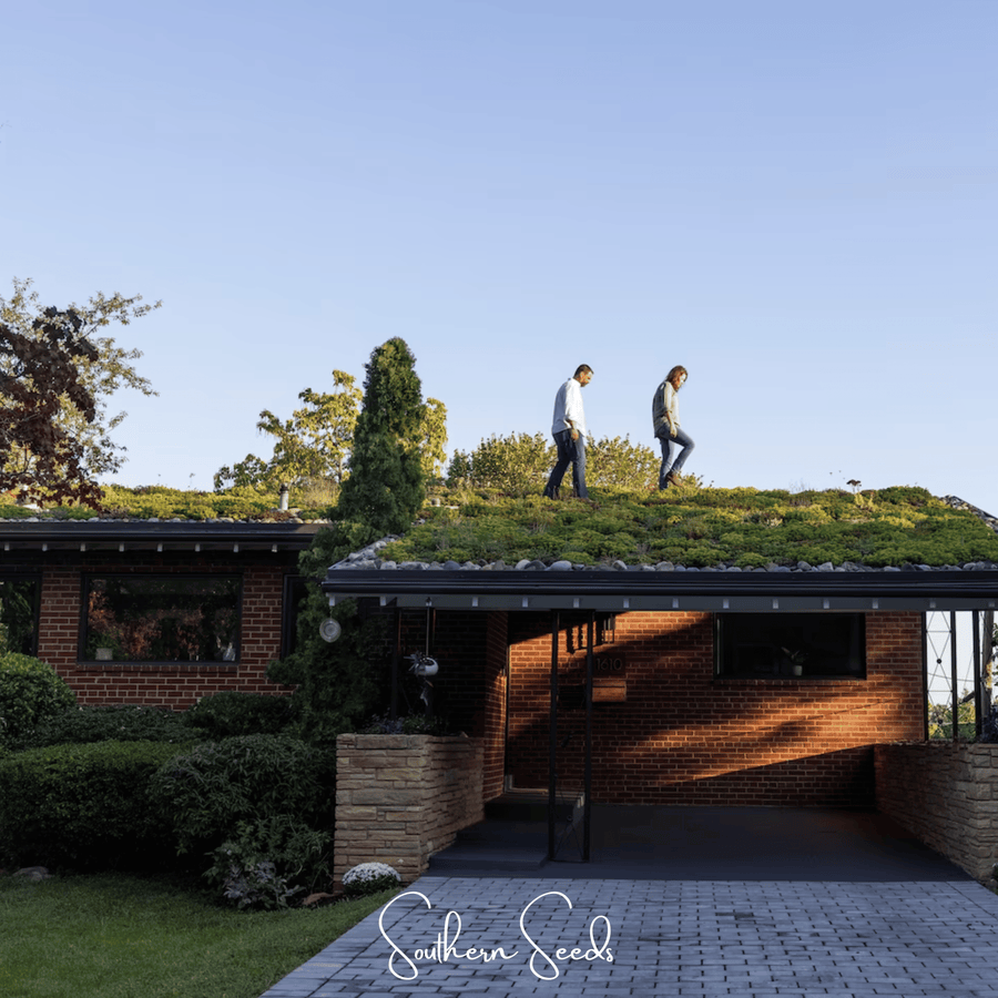 Sedum Roof Mix