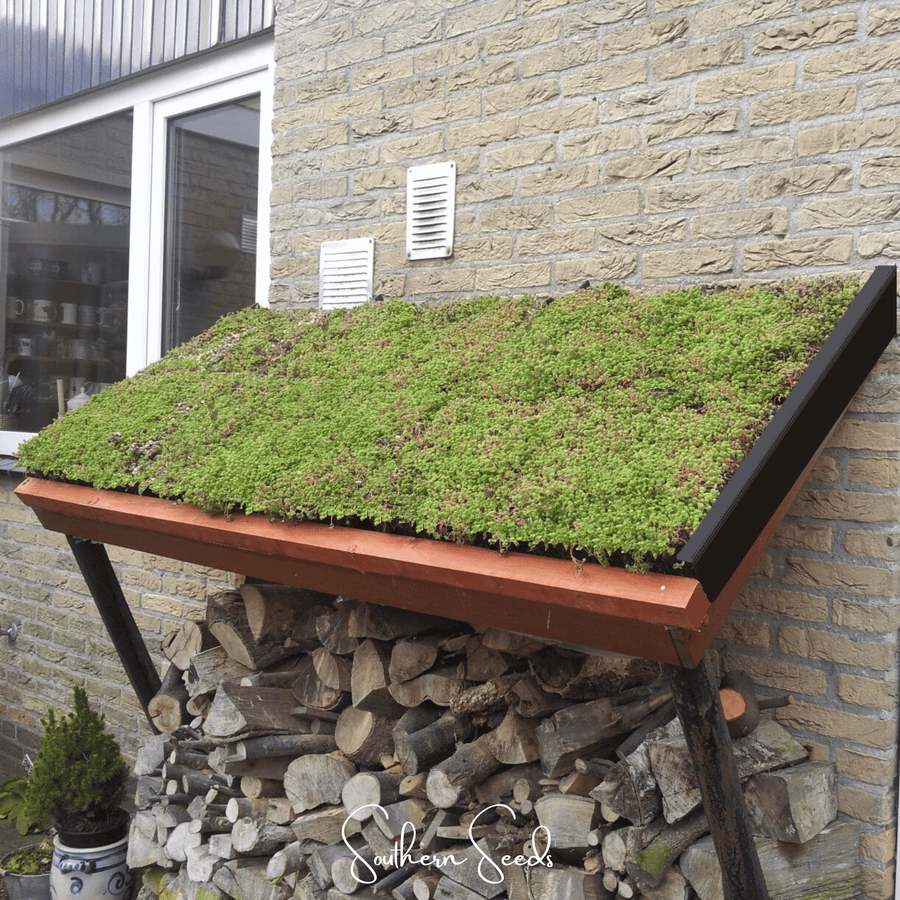 Sedum Roof Mix