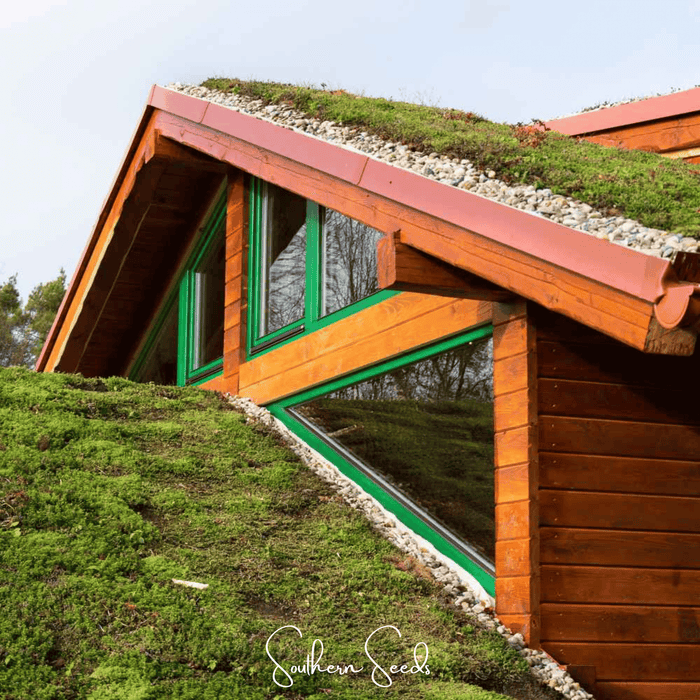 Sedum Roof Mix