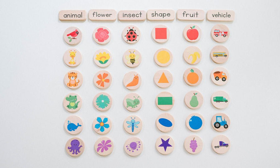 Preschool Sorting Game: 42 Wooden Tiles