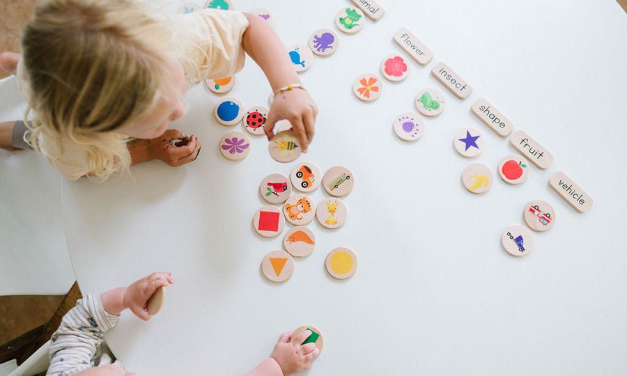 Preschool Sorting Game: 42 Wooden Tiles