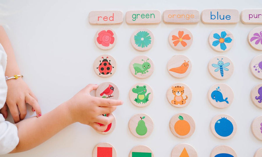 Preschool Sorting Game: 42 Wooden Tiles