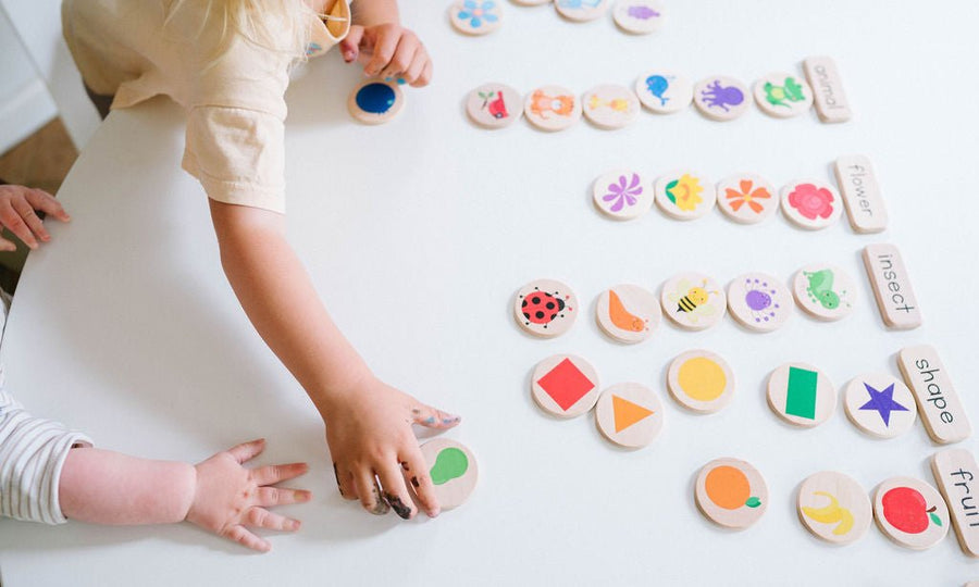 Preschool Sorting Game: 42 Wooden Tiles