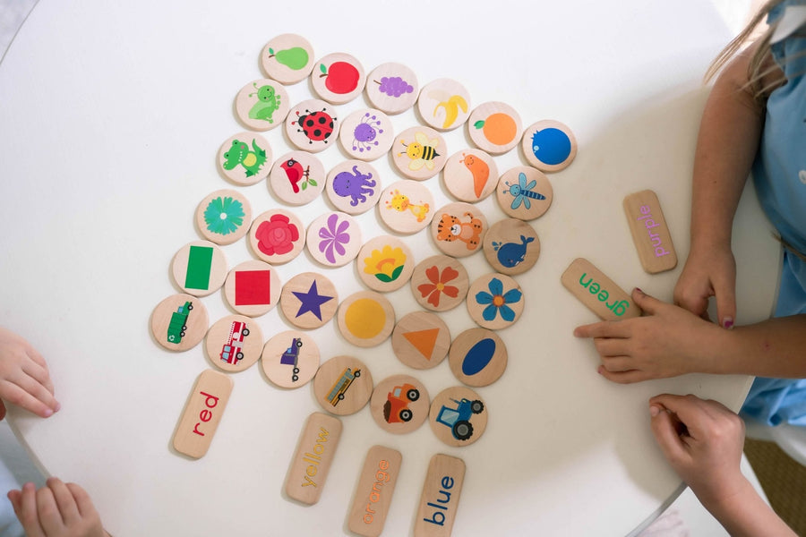Preschool Sorting Game: 42 Wooden Tiles