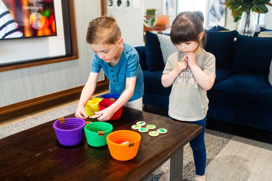 Preschool Sorting Game: 42 Wooden Tiles