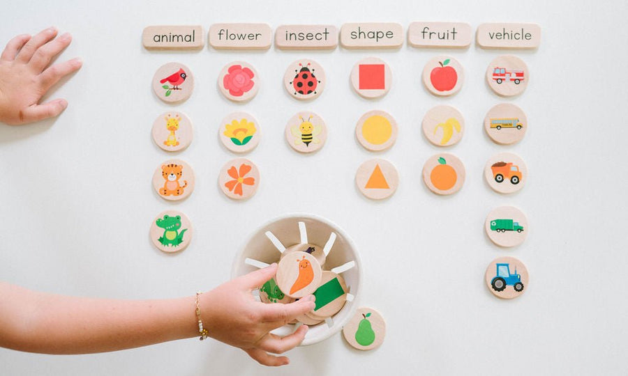Preschool Sorting Game: 42 Wooden Tiles