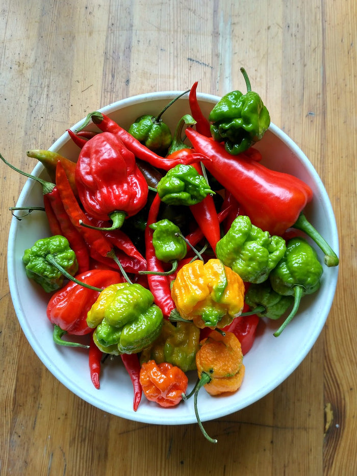 Trinidad Stinger Dip Mix — product photograph 1