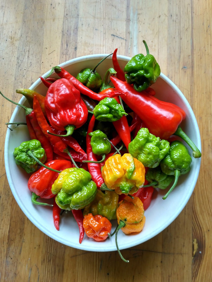 Trinidad Stinger Dip Mix — product photograph 1