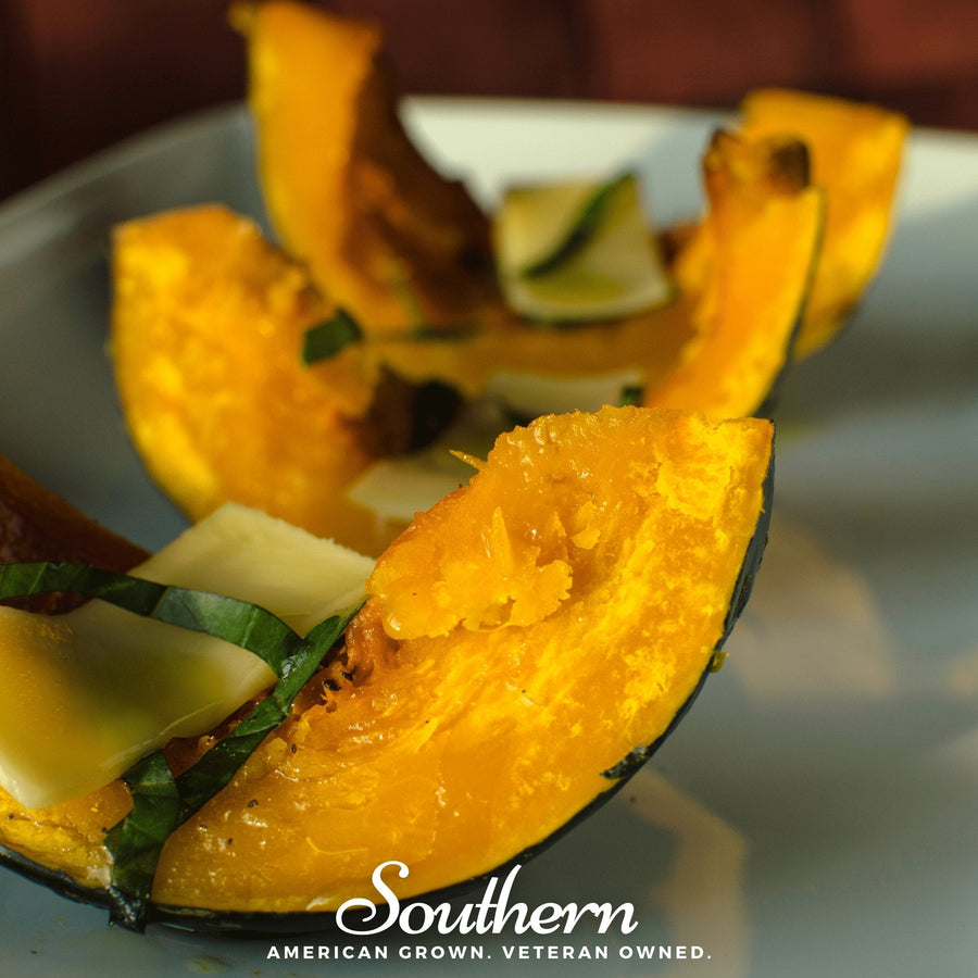 Buttercup Burgess Winter Squash