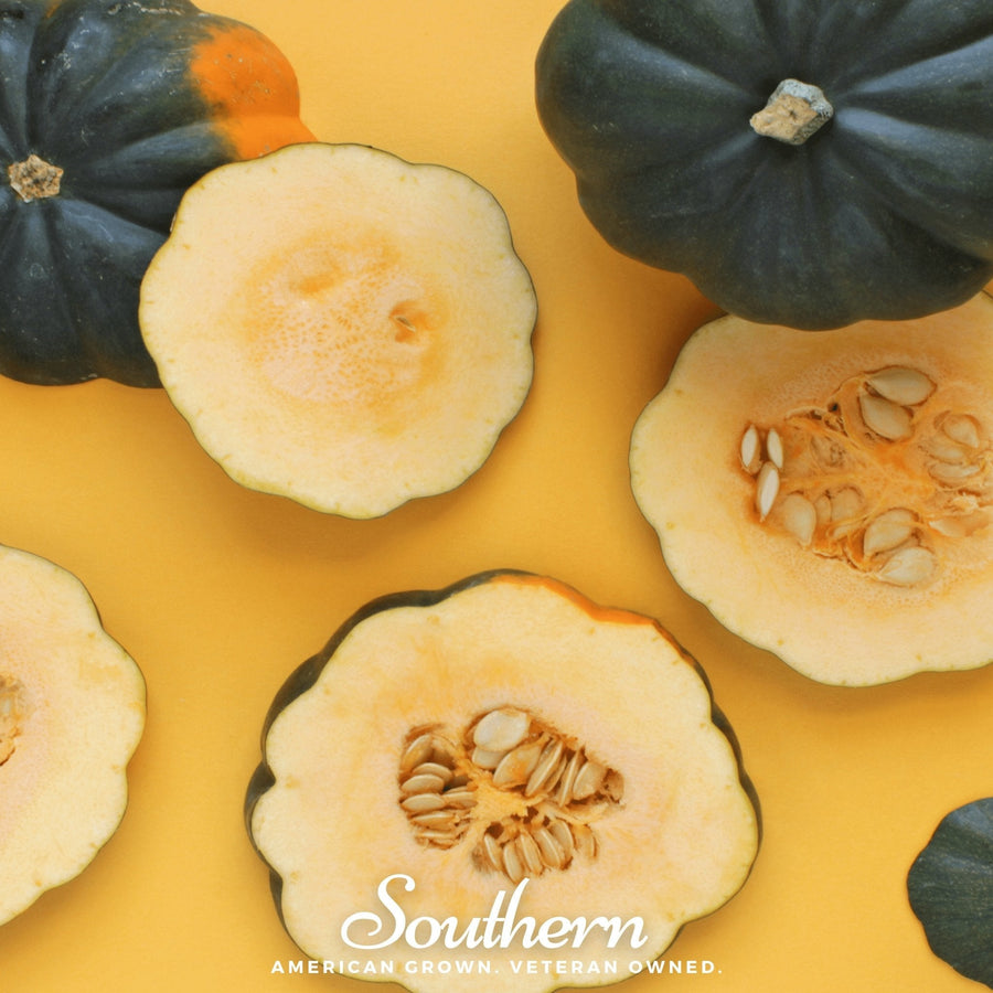 Table King Acorn Winter Squash