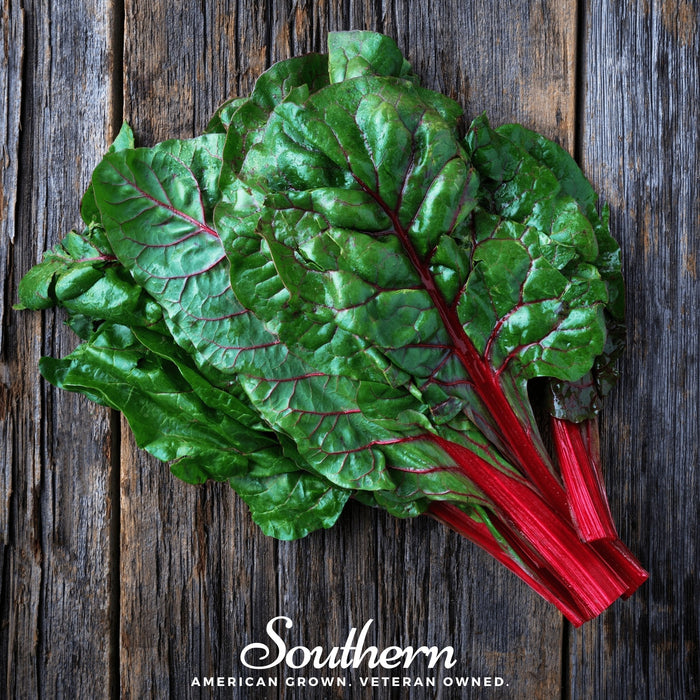 Ruby Red Swiss Chard – 100 Seeds