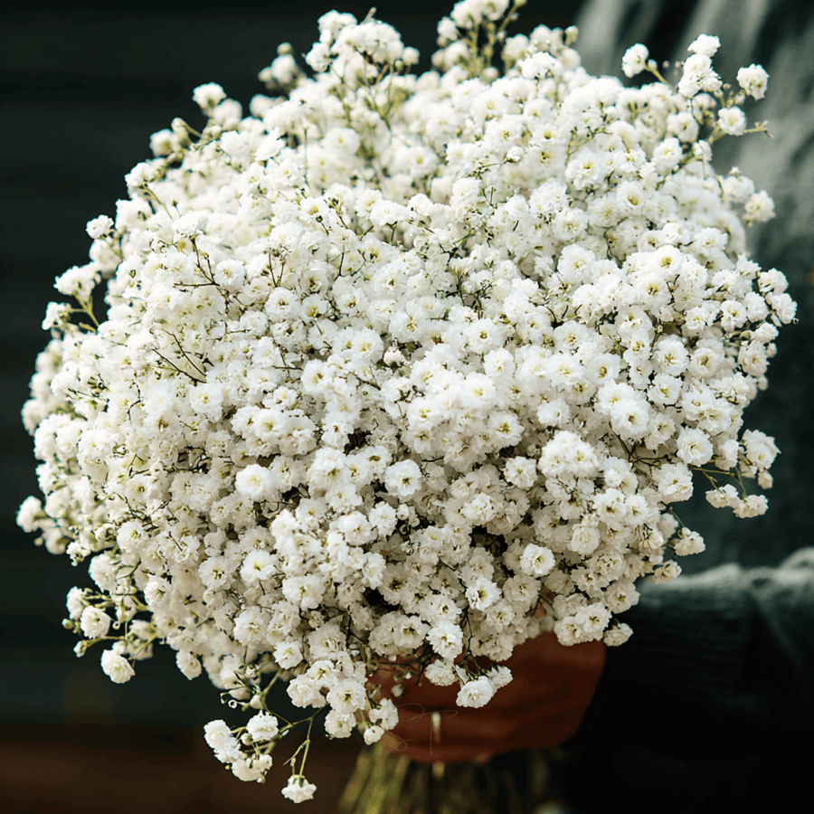 The Pearl Yarrow