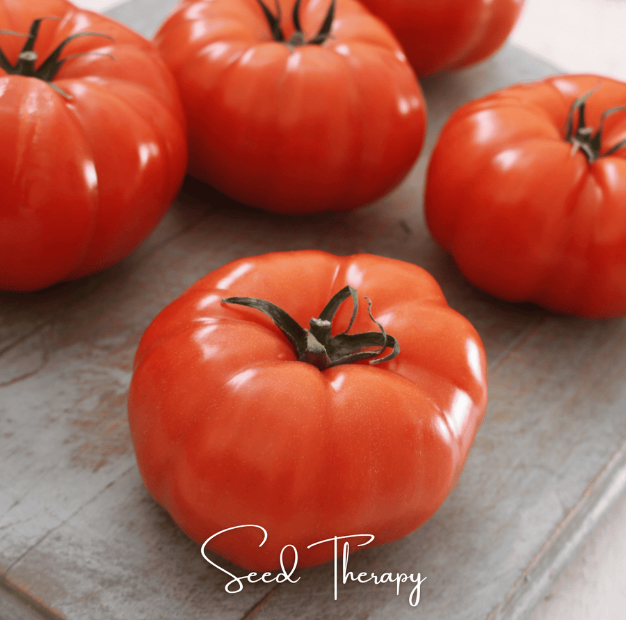 Beefsteak Tomato – 30 Seeds