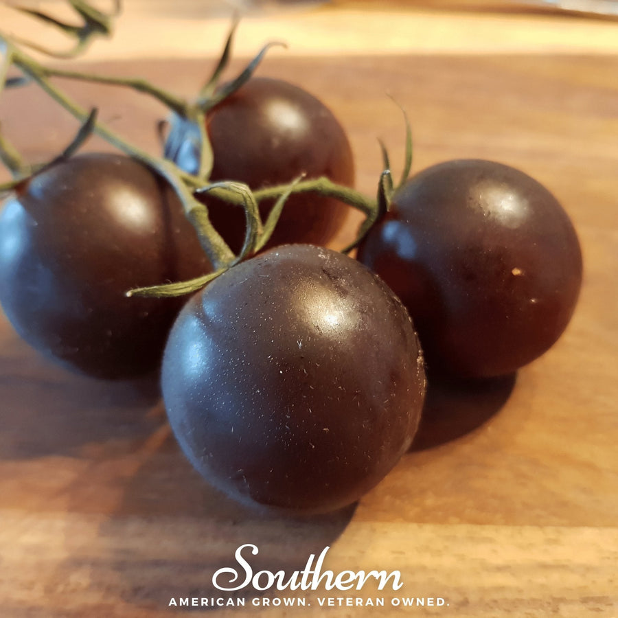 Black Prince Tomato