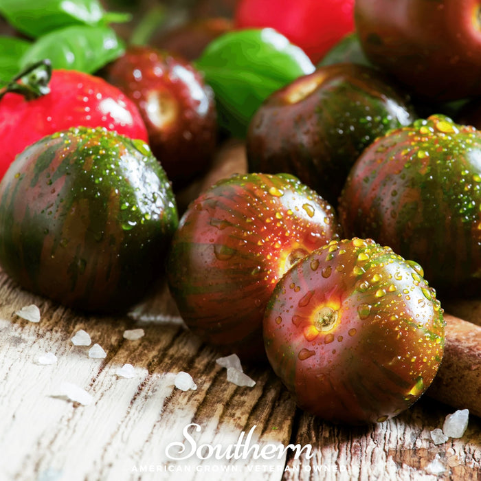 Black Prince Tomato