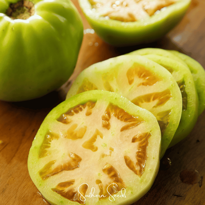 Evergreen Tomato