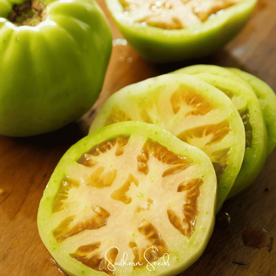 Evergreen Tomato