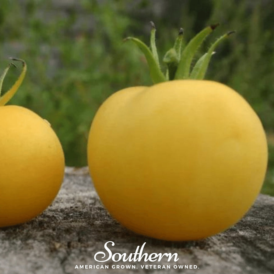 Garden Peach Tomato