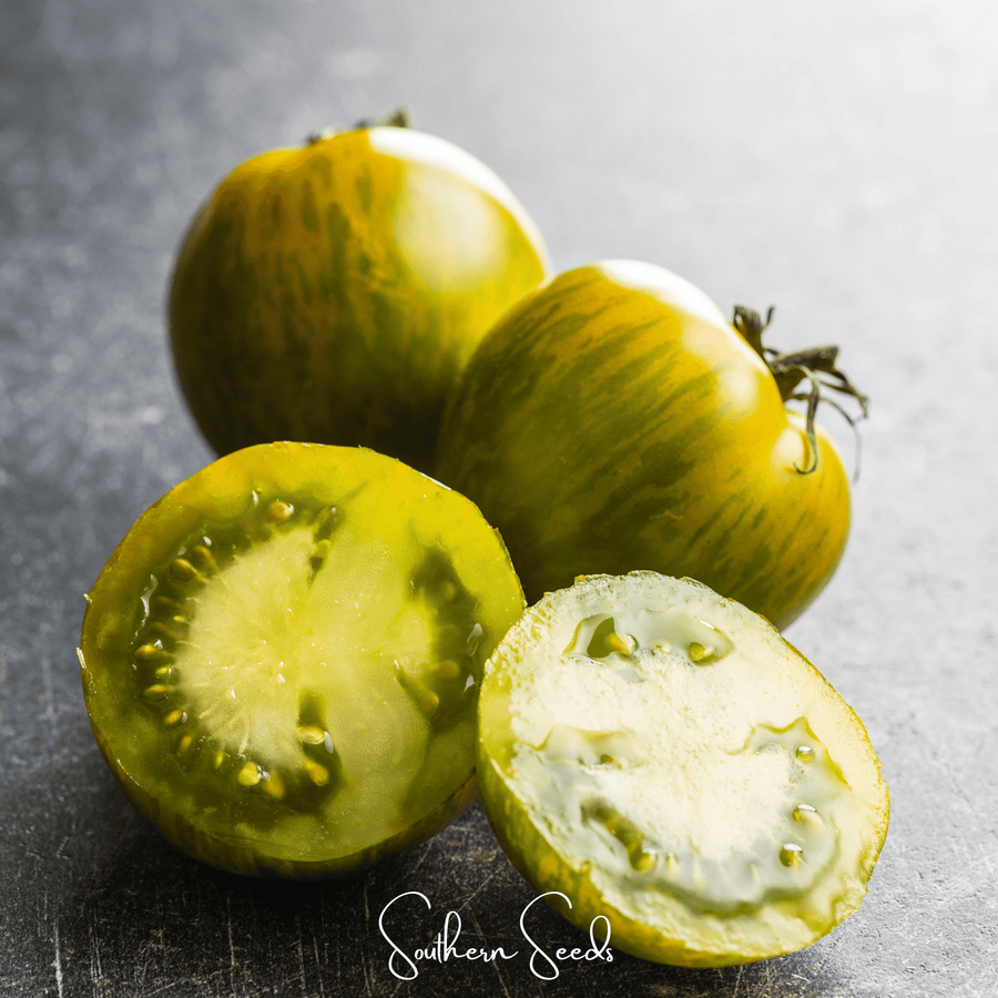 Green Zebra Tomato