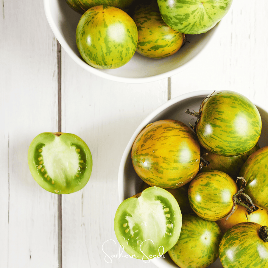 Green Zebra Tomato