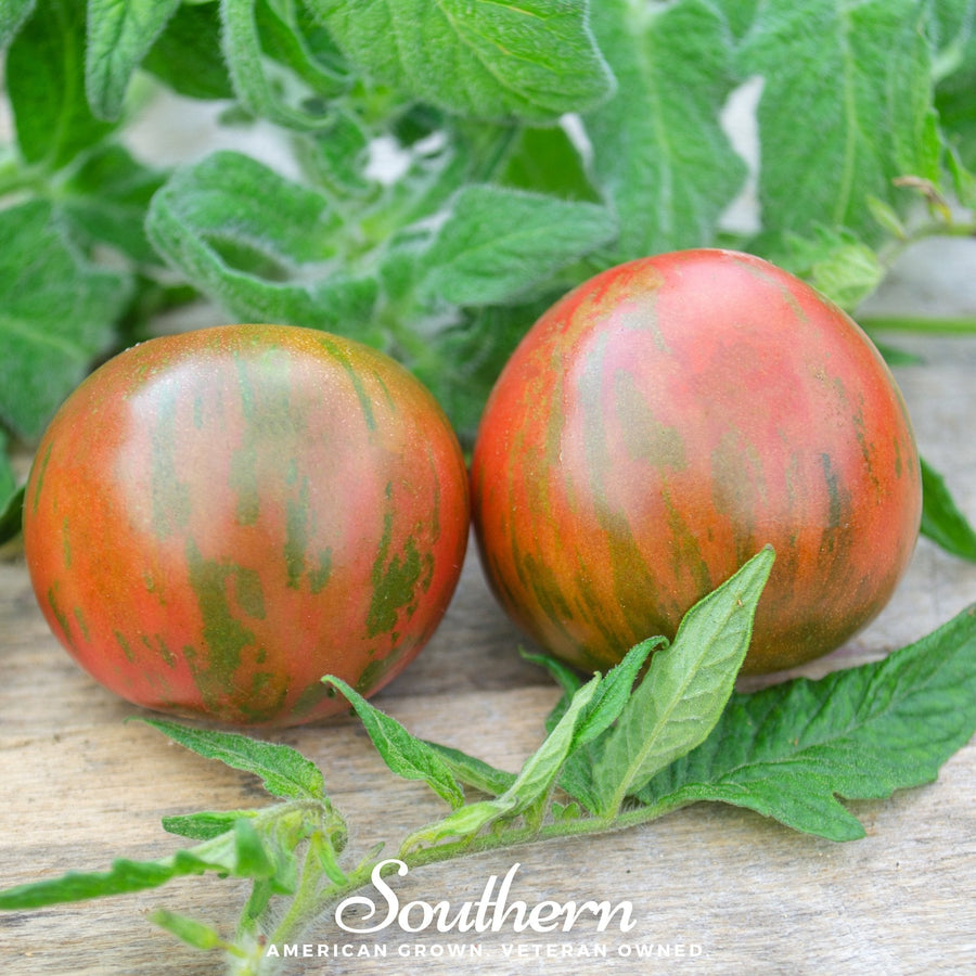 Tigerella Tomato