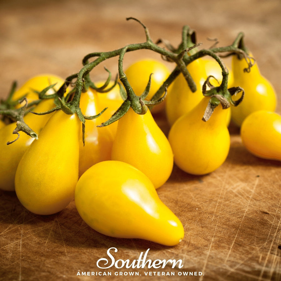 Yellow Pear Tomato – 50 Seeds