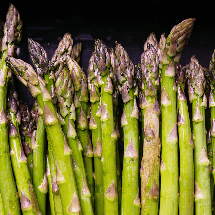 UC72 Asparagus