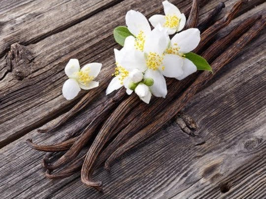 Vanilla Bean Infused Honey – product photo 2