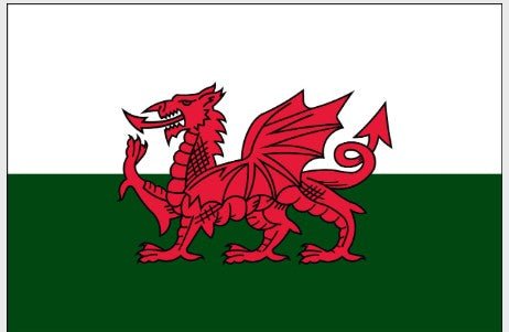 Wales Red Dragon flag made in USA with red dragon on white and green field
