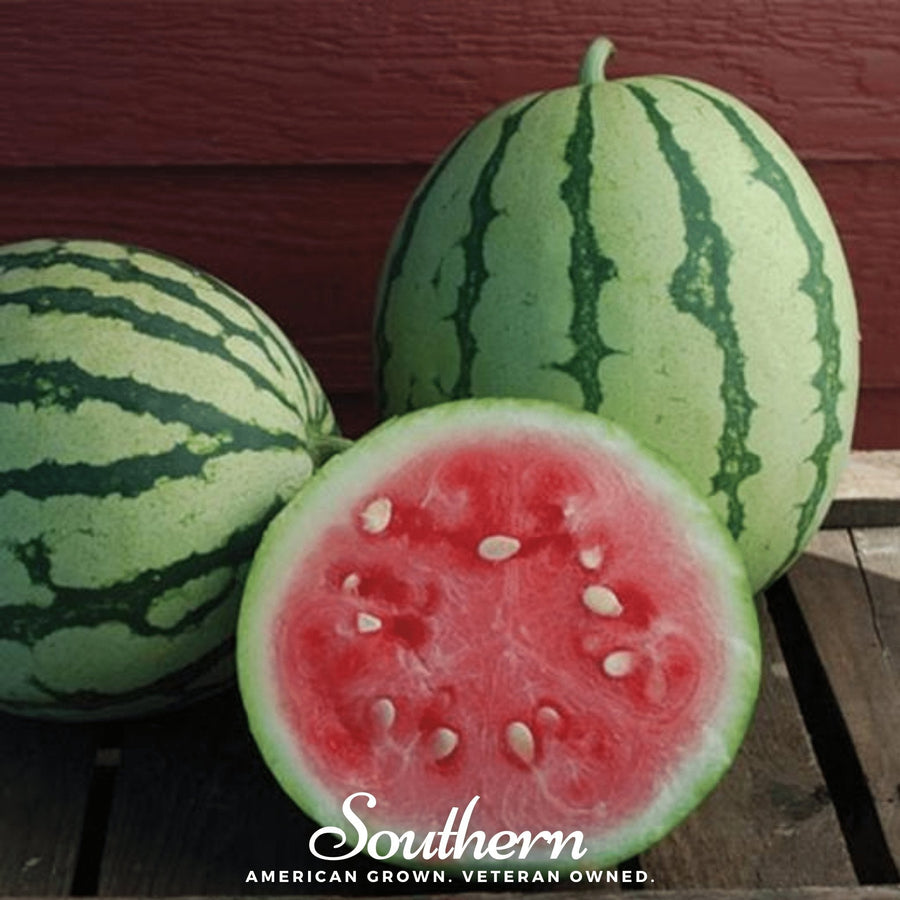 Dixie Queen Watermelon