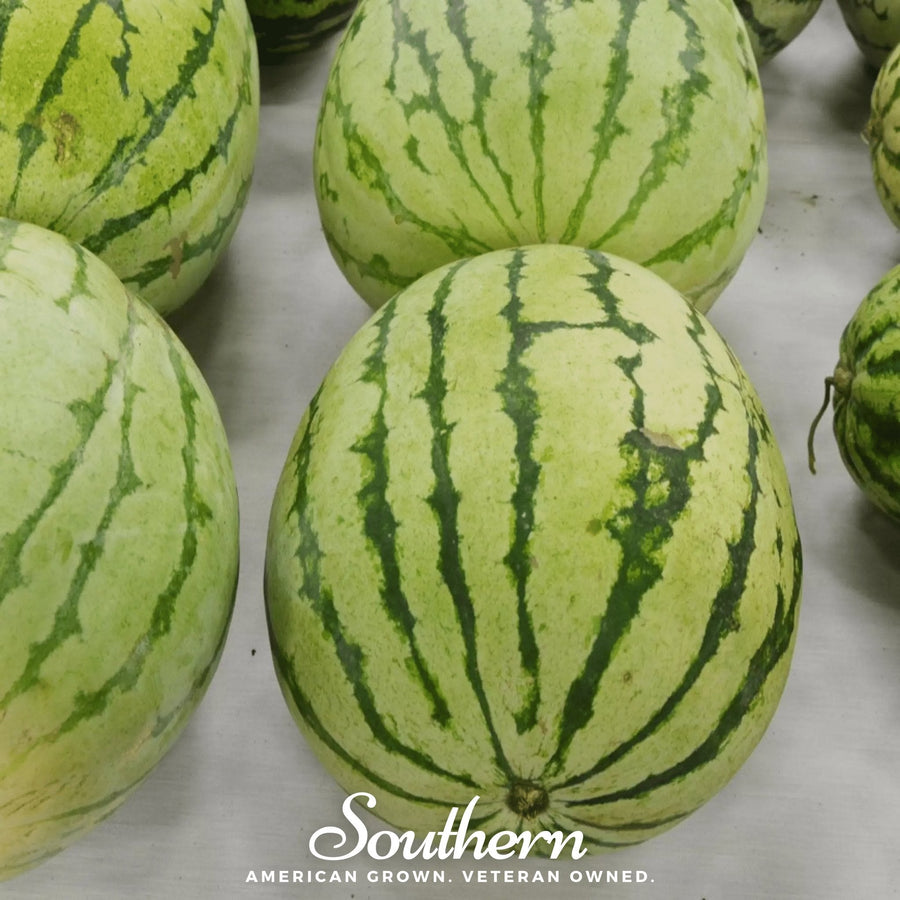 Dixie Queen Watermelon