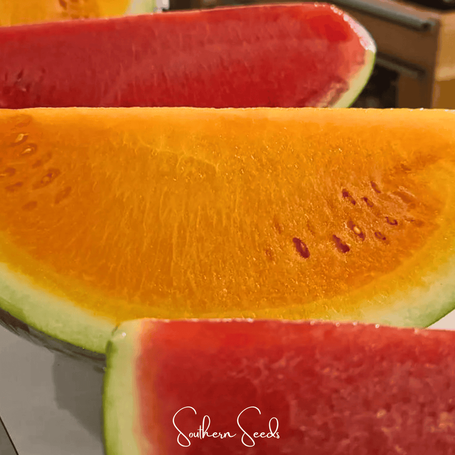 Tendersweet Orange Watermelon – 25 Seeds
