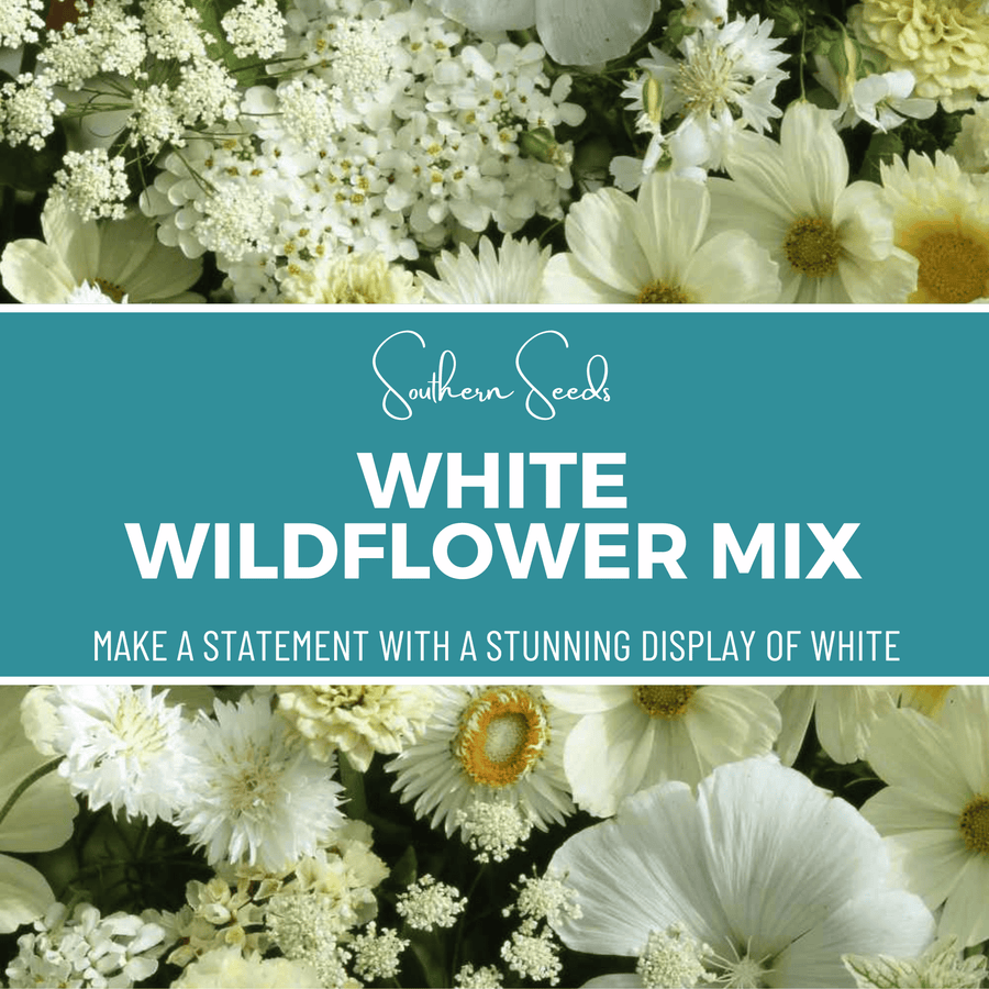 White Wildflower Seed Mix