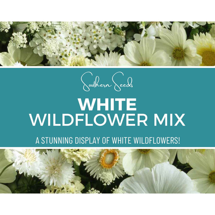 White Wildflower Seed Mix