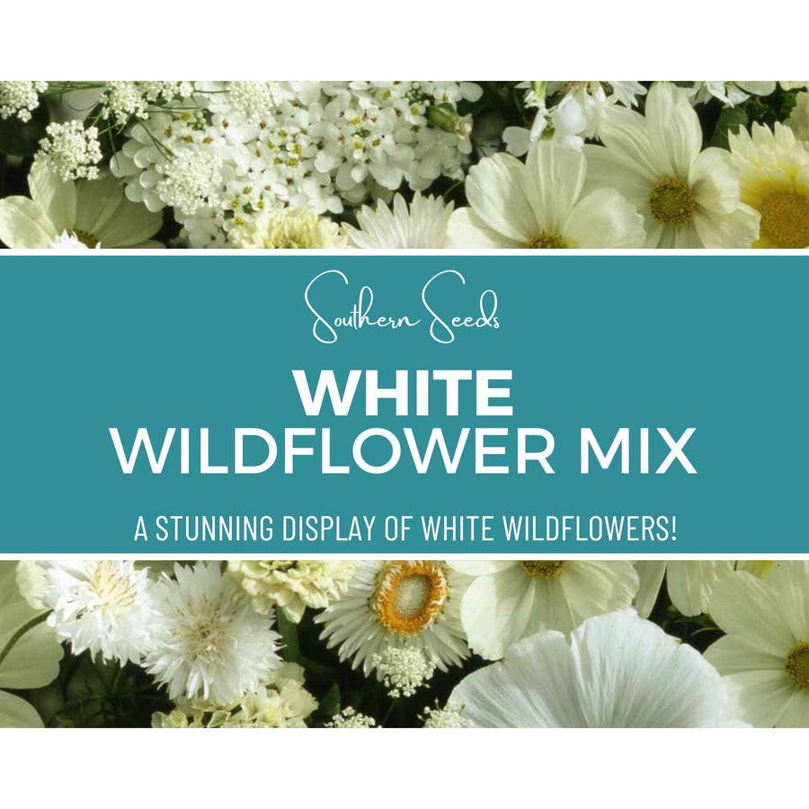 White Wildflower Seed Mix