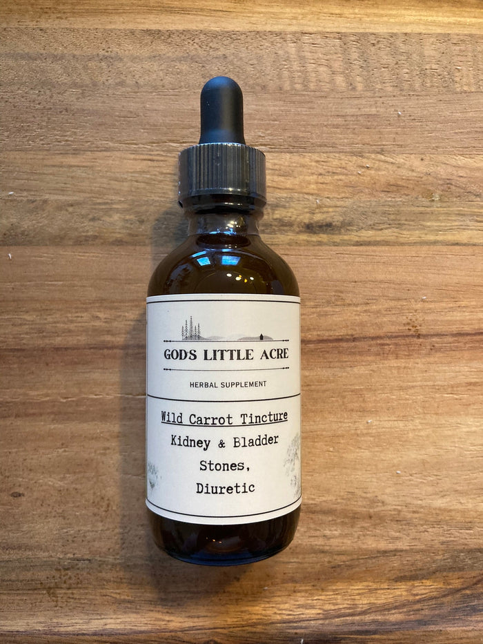 Wild Carrot Tincture in its amber glass bottle with dropper with supplier branding