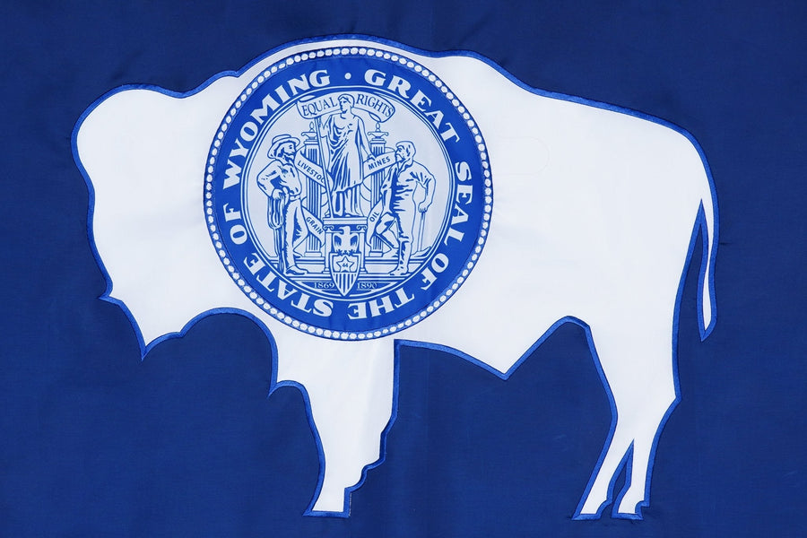Wyoming state flag close-up with white bison and state seal on blue field